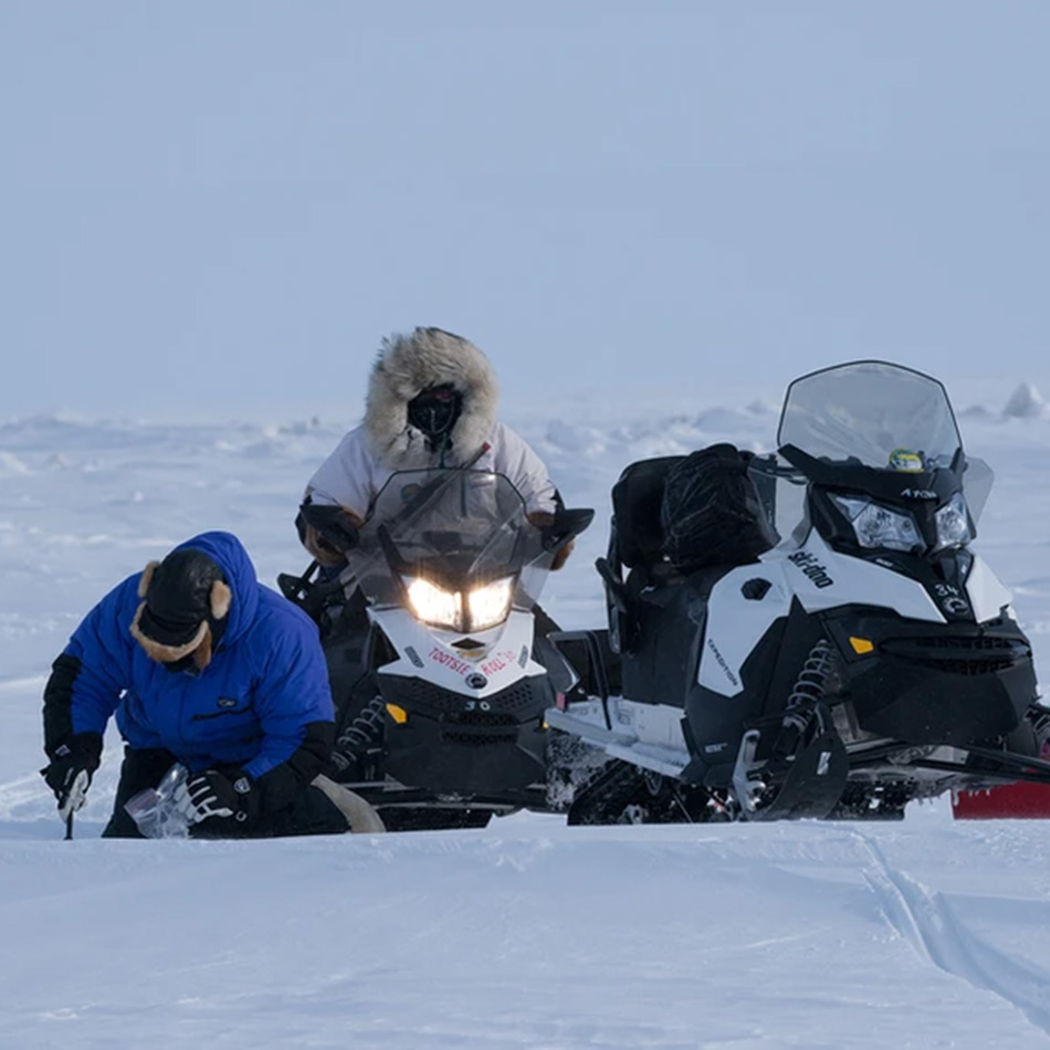 Snöskotrar på rad i Alaska, ute på ett projekt där dom ska identifiera isbjörnsindivider.